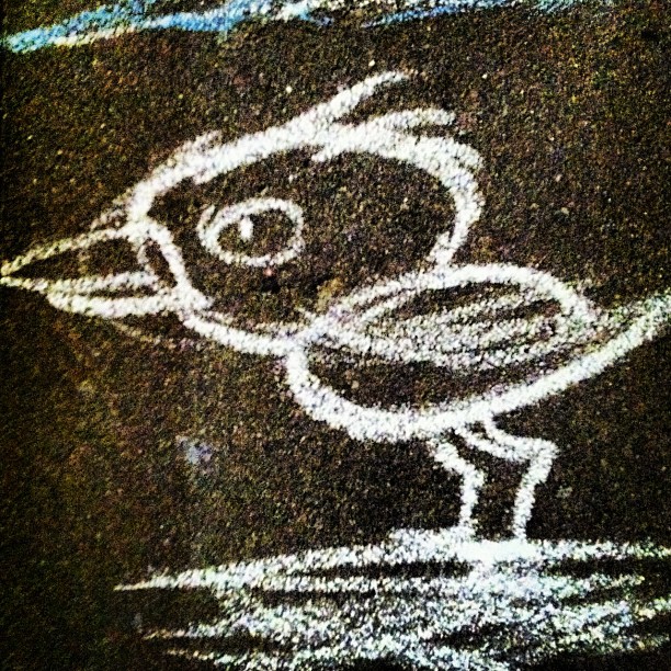 Instagram Photo of bird painted with chalk