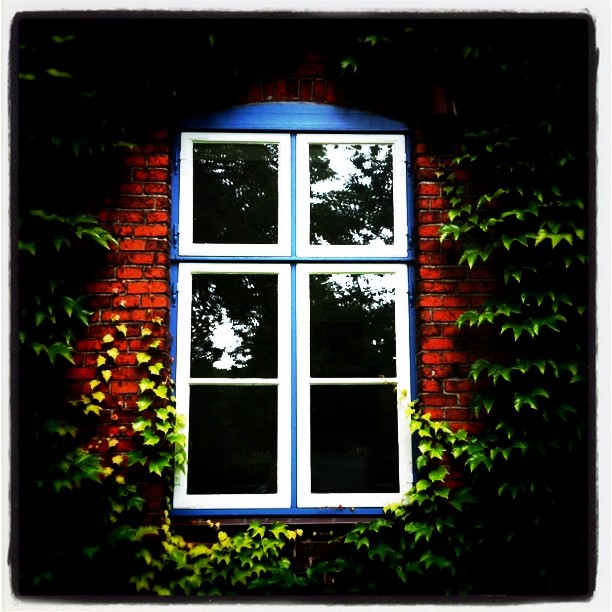 Instagram Photo of an old, colorful window